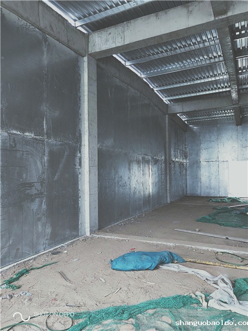 1635149389625295.jpg 1635149389625295.jpg